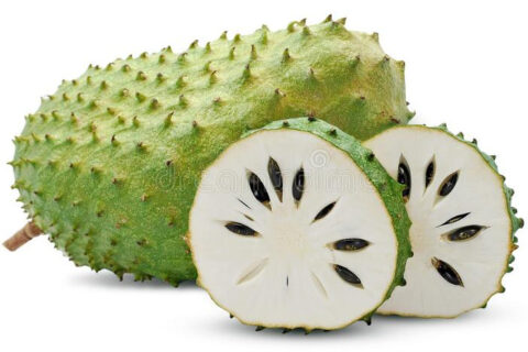 soursop2