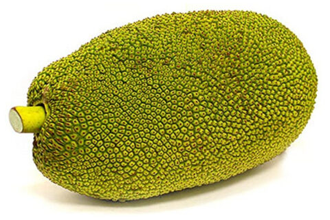 young_jackfruit